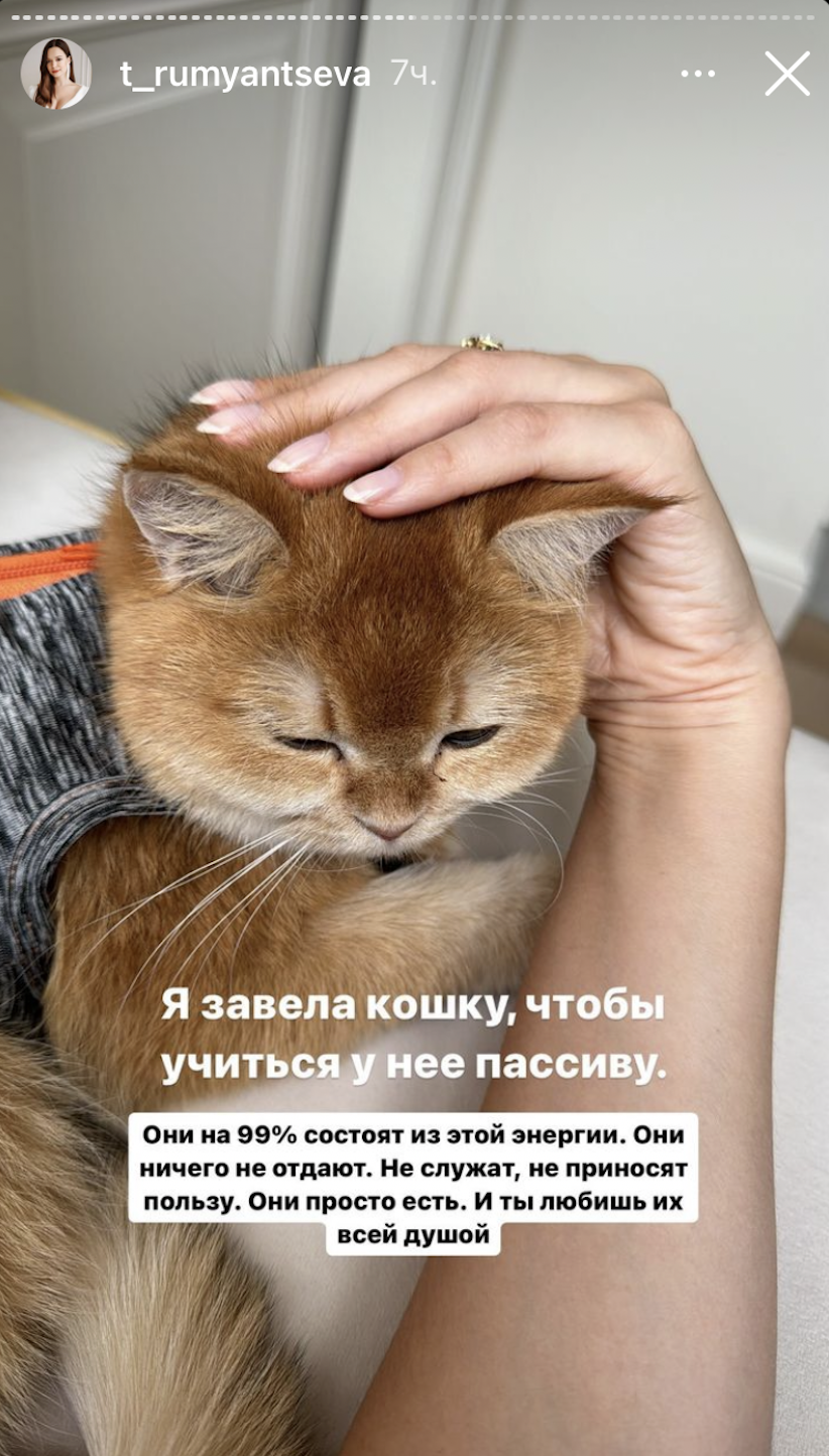 13 апреля 2024